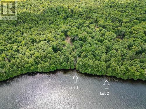 Lot 2 Esig Lane, Lake Of Bays (Sinclair), ON 