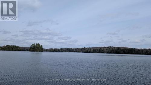 Lot 2 Esig Lane, Lake Of Bays (Sinclair), ON 