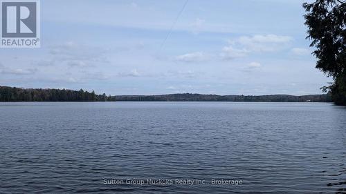 Lot 2 Esig Lane, Lake Of Bays (Sinclair), ON 