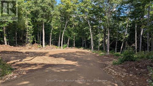 Lot 2 Esig Lane, Lake Of Bays (Sinclair), ON 