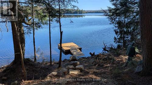 Lot 2 Esig Lane, Lake Of Bays (Sinclair), ON 