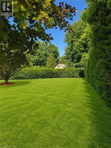 Expansive lawn bordered by a tall, dense green hedge and mature trees - 23 Percy Court, Hamilton, ON - Outdoor