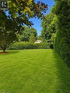 Expansive lawn bordered by a tall, dense green hedge and mature trees - 