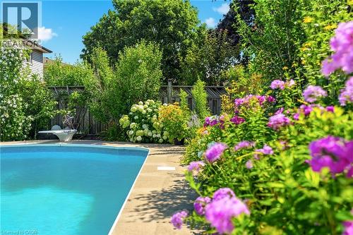25 Winter Way, Brantford, ON - Outdoor With In Ground Pool