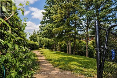 Gated Dog Run - 230 - 1025 Grenon Avenue, Ottawa, ON - Outdoor