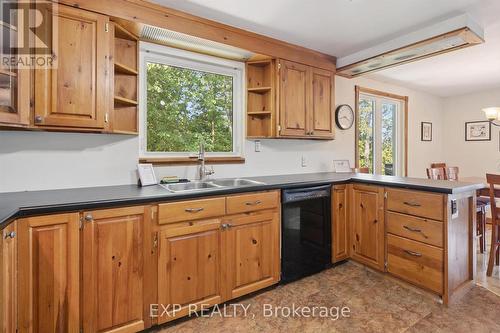 3 - 1378 Three Mile Lake Road, Muskoka Lakes (Watt), ON - Indoor Photo Showing Kitchen With Double Sink