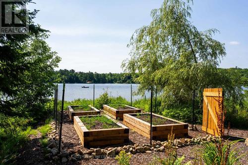 Raised gardens - 1023 Mccabe Road, Lake Of Bays, ON - Outdoor With Body Of Water