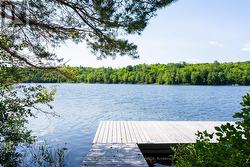 dock - 