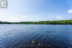 Panoric sunrise to sunset views - 