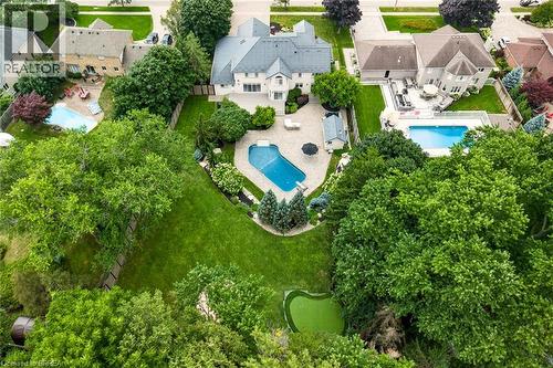 Expansive backyard featuring a large in-ground swimming pool with surrounding patio, a dedicated putting green, mature trees, and manicured lawns - 44 St Andrew'S Drive, Brantford, ON - Outdoor With In Ground Pool With View