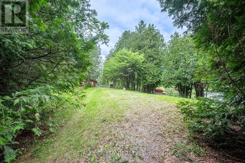 48 Crosby Trail, Whitewater Region, ON - Outdoor