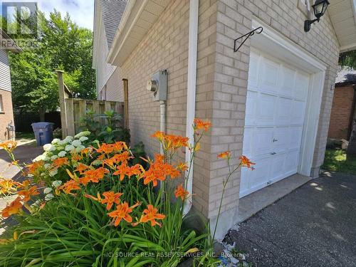 90 Cole Road, Guelph, ON - Outdoor With Exterior