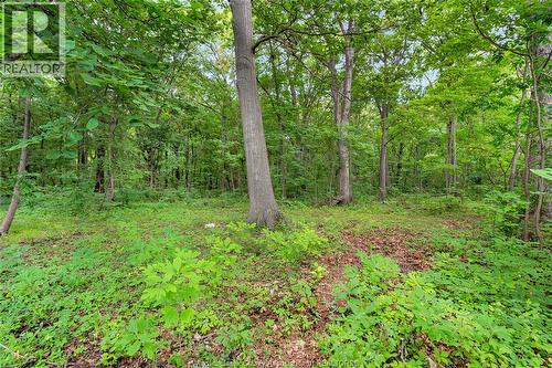 1335 Laurier Drive, Lasalle, ON - Outdoor
