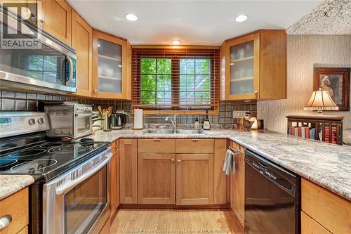 1335 Laurier Drive, Lasalle, ON - Indoor Photo Showing Kitchen With Double Sink