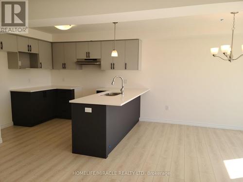 117 Mattingley Street, Brant, ON - Indoor Photo Showing Kitchen