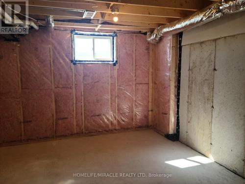 117 Mattingley Street, Brant, ON - Indoor Photo Showing Basement