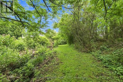 44 Division Street, Cramahe, ON - Outdoor With View