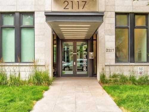 Entrée extérieure - 1101-2117 Rue Tupper, Montréal (Ville-Marie), QC - Outdoor