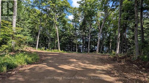 Lot 1 Esig Lane, Lake Of Bays (Sinclair), ON 