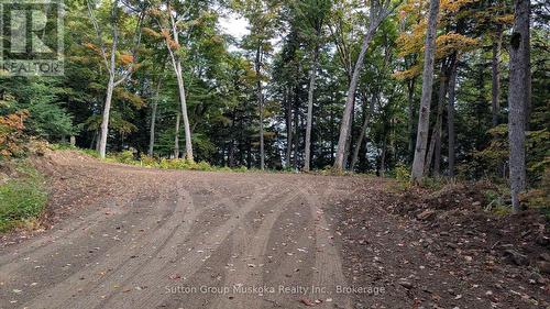 Lot 1 Esig Lane, Lake Of Bays (Sinclair), ON 