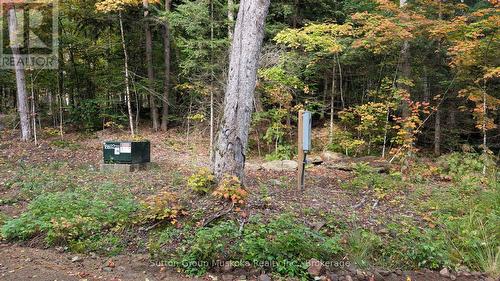 Lot 1 Esig Lane, Lake Of Bays (Sinclair), ON 