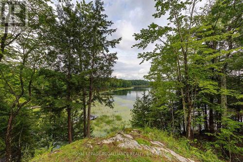 59 Sunset Shores Lane, Frontenac (Frontenac South), ON - Outdoor With Body Of Water With View