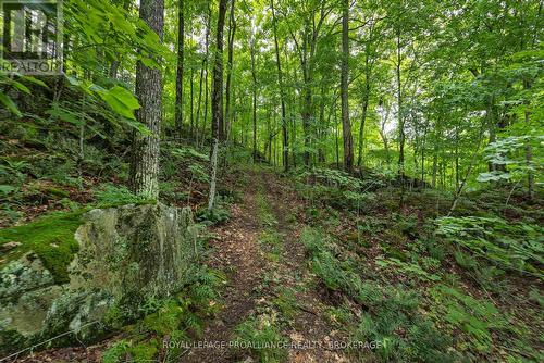 59 Sunset Shores Lane, Frontenac (Frontenac South), ON - Outdoor