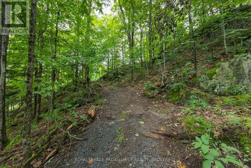 59 Sunset Shores Lane, Frontenac (Frontenac South), ON - Outdoor