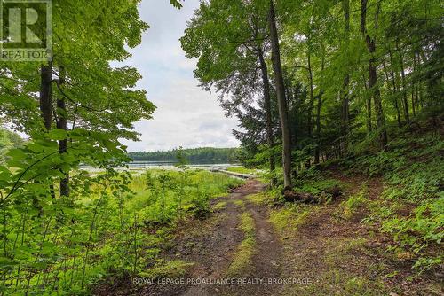59 Sunset Shores Lane, Frontenac (Frontenac South), ON - Outdoor With View