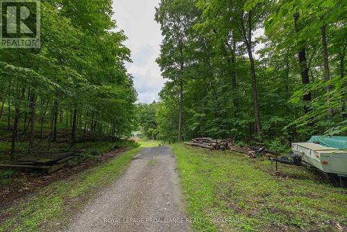59 Sunset Shores Lane, Frontenac (Frontenac South), ON - Outdoor