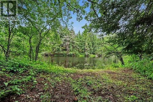 597 Christie Lake Road, Tay Valley, ON - Outdoor