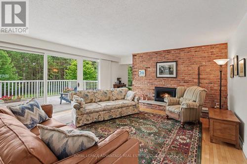 597 Christie Lake Road, Tay Valley, ON - Indoor Photo Showing Living Room With Fireplace