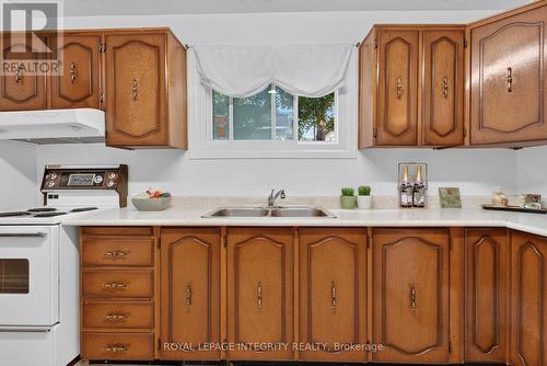 141 Percy Street, Ottawa, ON - Indoor Photo Showing Kitchen With Double Sink