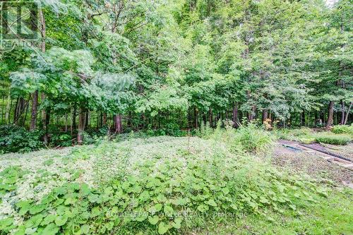 P86 - 175 David Bergey Drive, Kitchener, ON - Outdoor