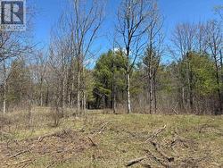 LOT 4 LEVEQUE ROAD  South Frontenac (Frontenac South), ON K0H 2W0