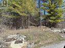 Lot 4 Leveque Road, South Frontenac (Frontenac South), ON 