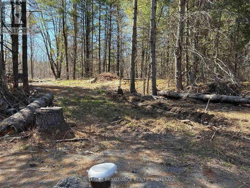 Lot 4 Leveque Road, South Frontenac (Frontenac South), ON 