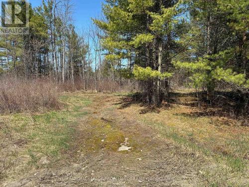 Lot 4 Leveque Road, South Frontenac (Frontenac South), ON 