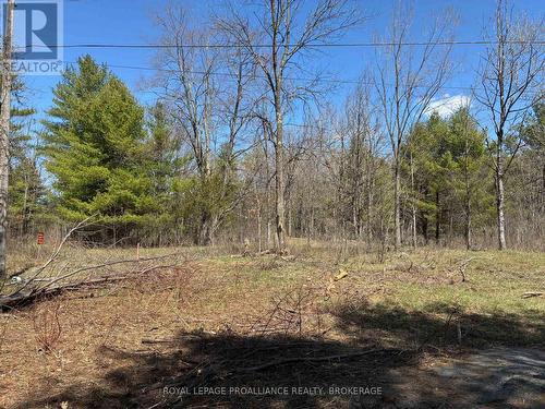 Lot 4 Leveque Road, South Frontenac (Frontenac South), ON 