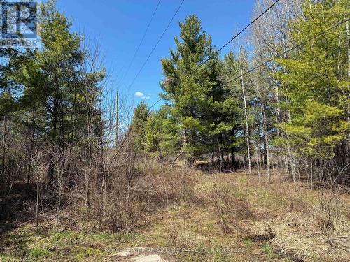 Lot 4 Leveque Road, South Frontenac (Frontenac South), ON 