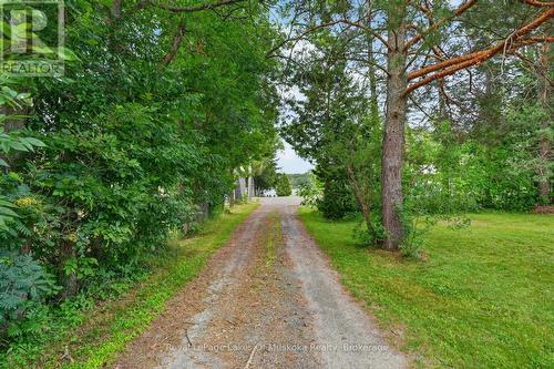 1857 Highway 518 E Highway, Kearney, ON - Outdoor