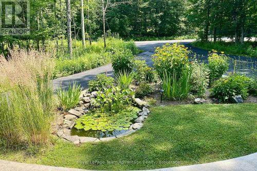 Wonderful pond surrounded by perennial gardens - 17 Hagerman Court, Seguin, ON - Outdoor
