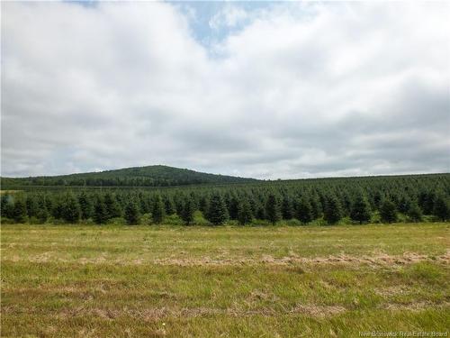 1409 Route 570, Gordonsville, NB 