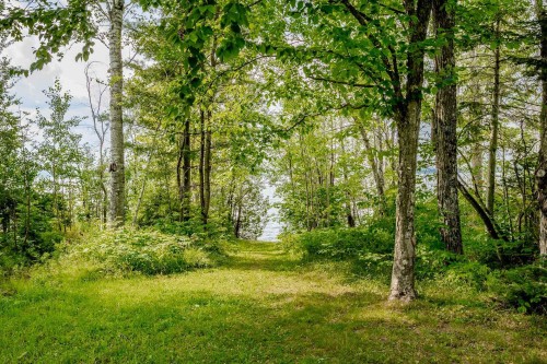 Accès au plan d'eau - 415 Ch. Aylmer, Stratford, QC - Outdoor