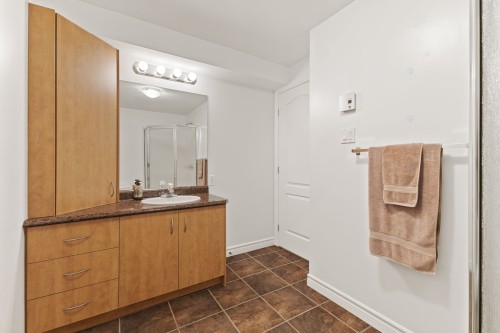 Bathroom - 113 Rue Marie-Louise-Mcgregor, Gatineau (Buckingham), QC - Indoor Photo Showing Bathroom