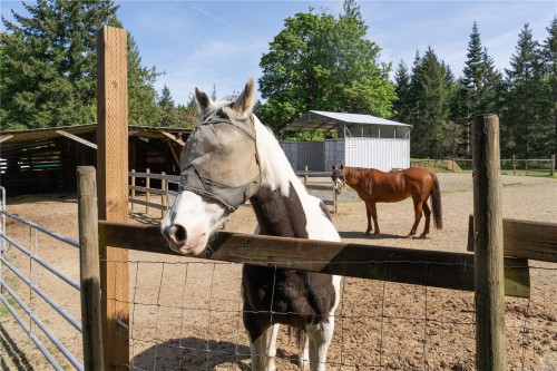1341 Pratt Rd, Hilliers, BC 