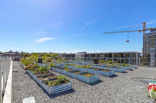 #S312-1411 Cook St, Victoria, BC - Outdoor