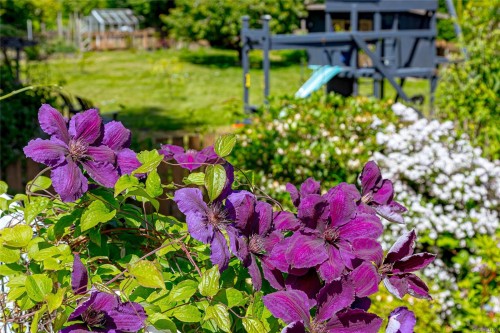 6224 Robin Way, Central Saanich, BC 