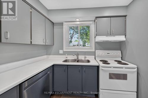 2 - 199 York Road, Hamilton, ON - Indoor Photo Showing Kitchen With Double Sink