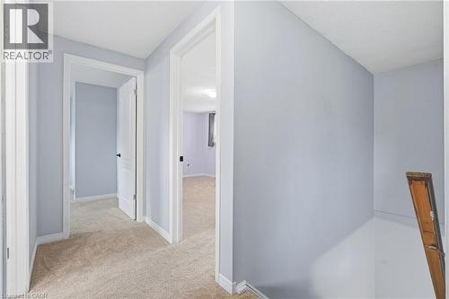 Carpeted hallway featuring light blue walls, white trim, and white interior doors with black hardware - 19 Alona Avenue, Cambridge, ON - Indoor Photo Showing Other Room
